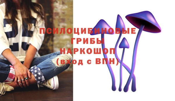 экстази Богородицк