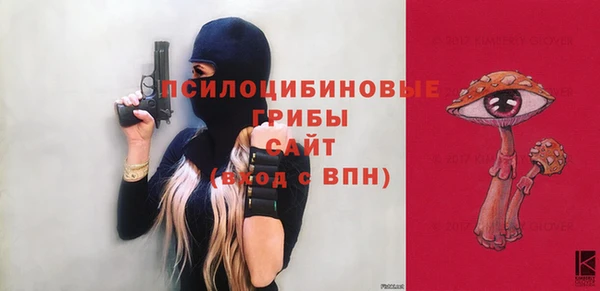 экстази Богородицк