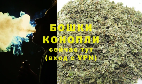 кокаин Богданович