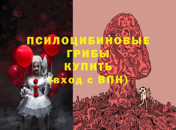кокаин Богданович